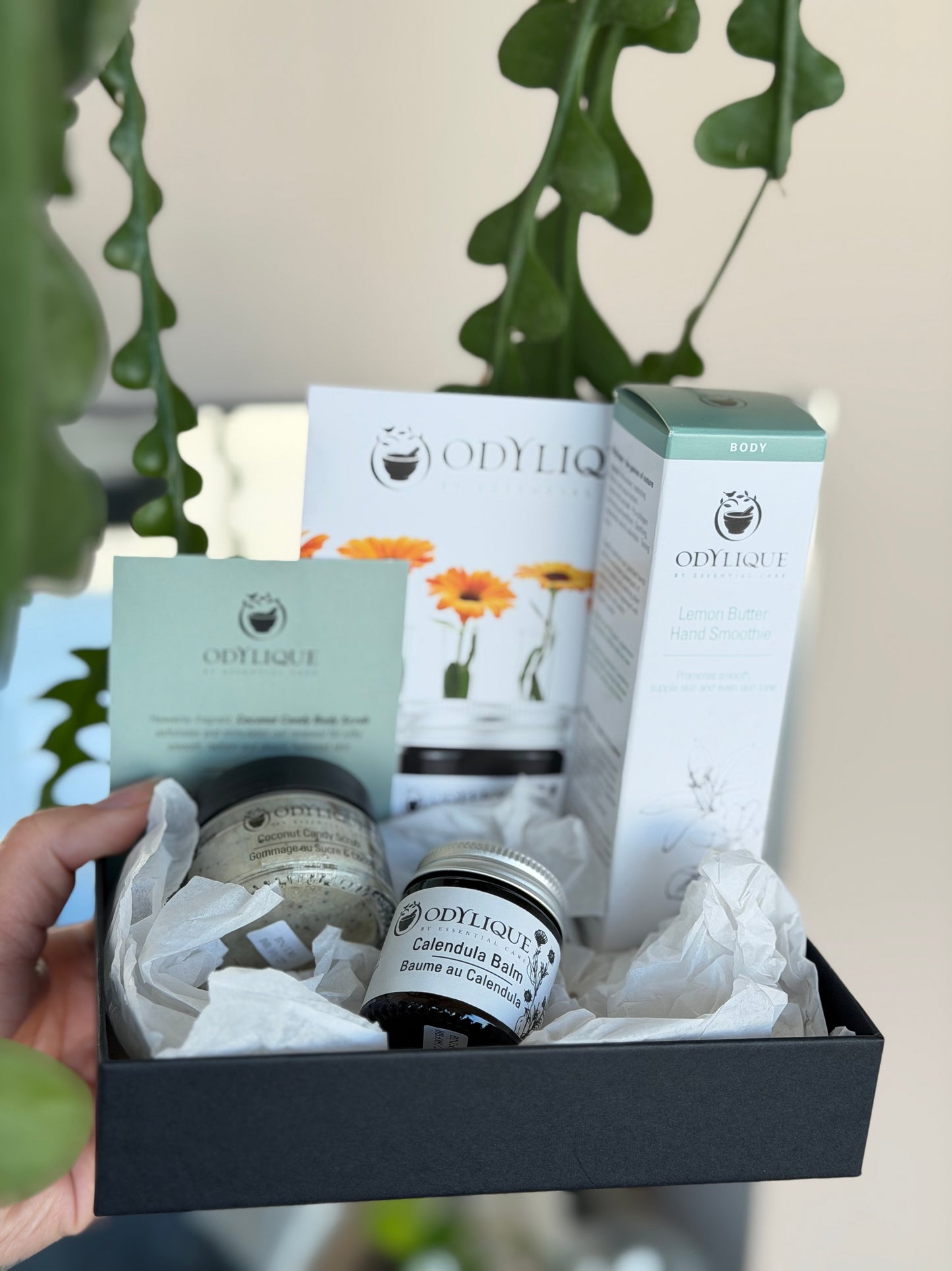 Odylique Gardeners Gift Set