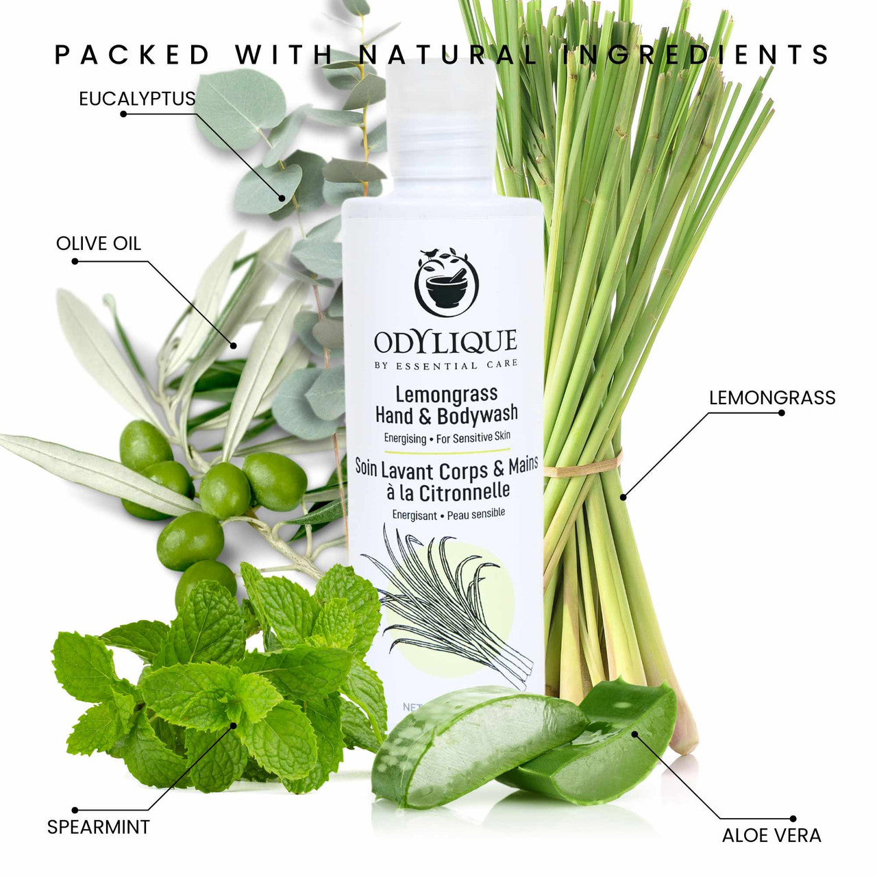 Odylique Lemongrass Bodywash