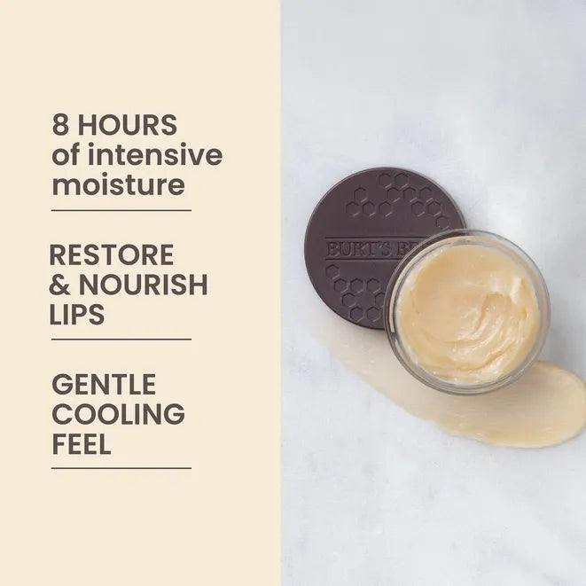 Burt's Bees Overnight Intensive Lip Treatment