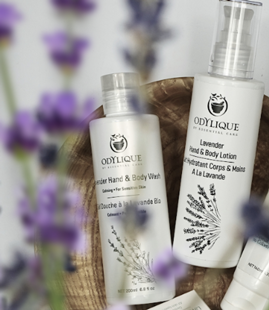 Odylique Lavender Gift Set