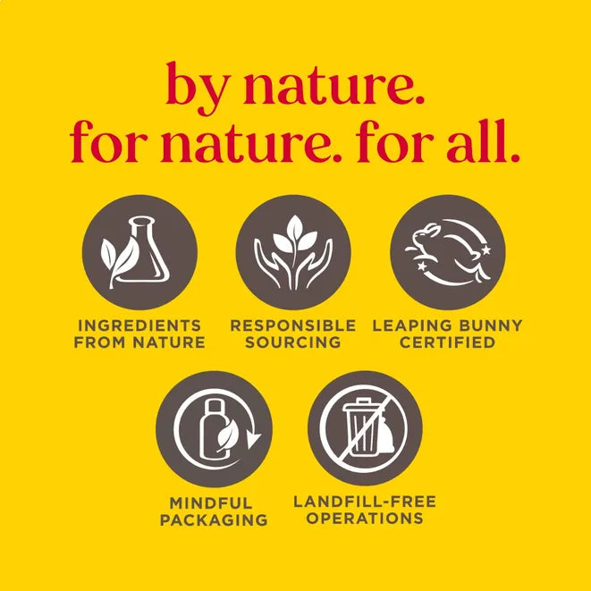 Burt's Bees Overnight Intensive Lip Treatment