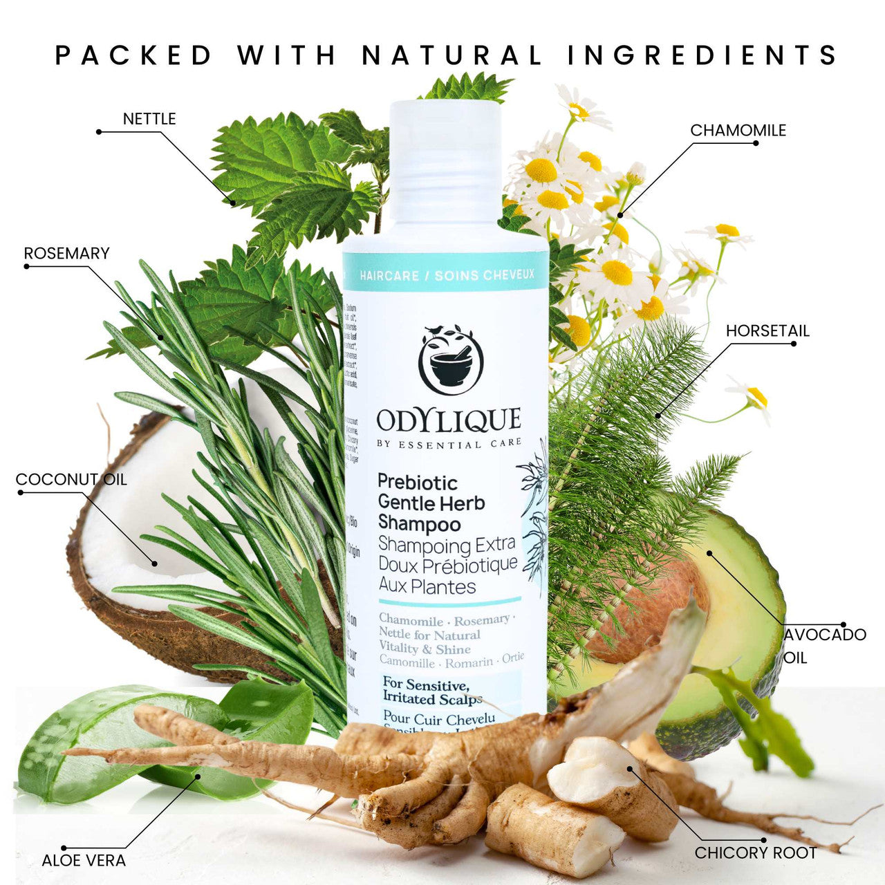 Odylique Prebiotic Gentle Herb Shampoo