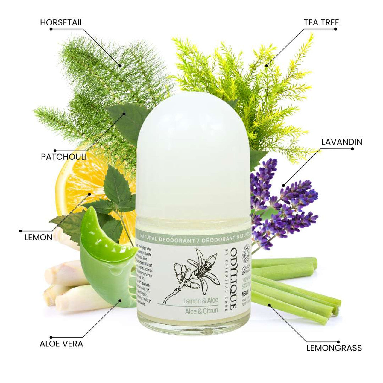 Odylique Natural Deodorant Roll-on Lemon & Aloe