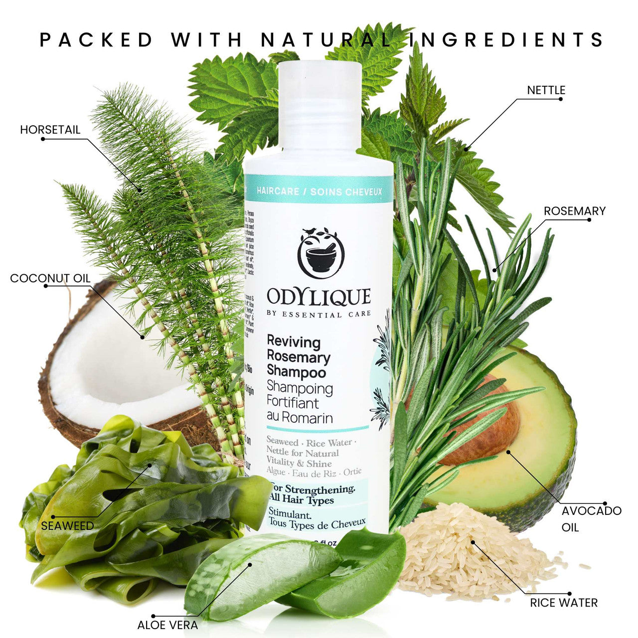 Odylique Reviving Rosemary Shampoo